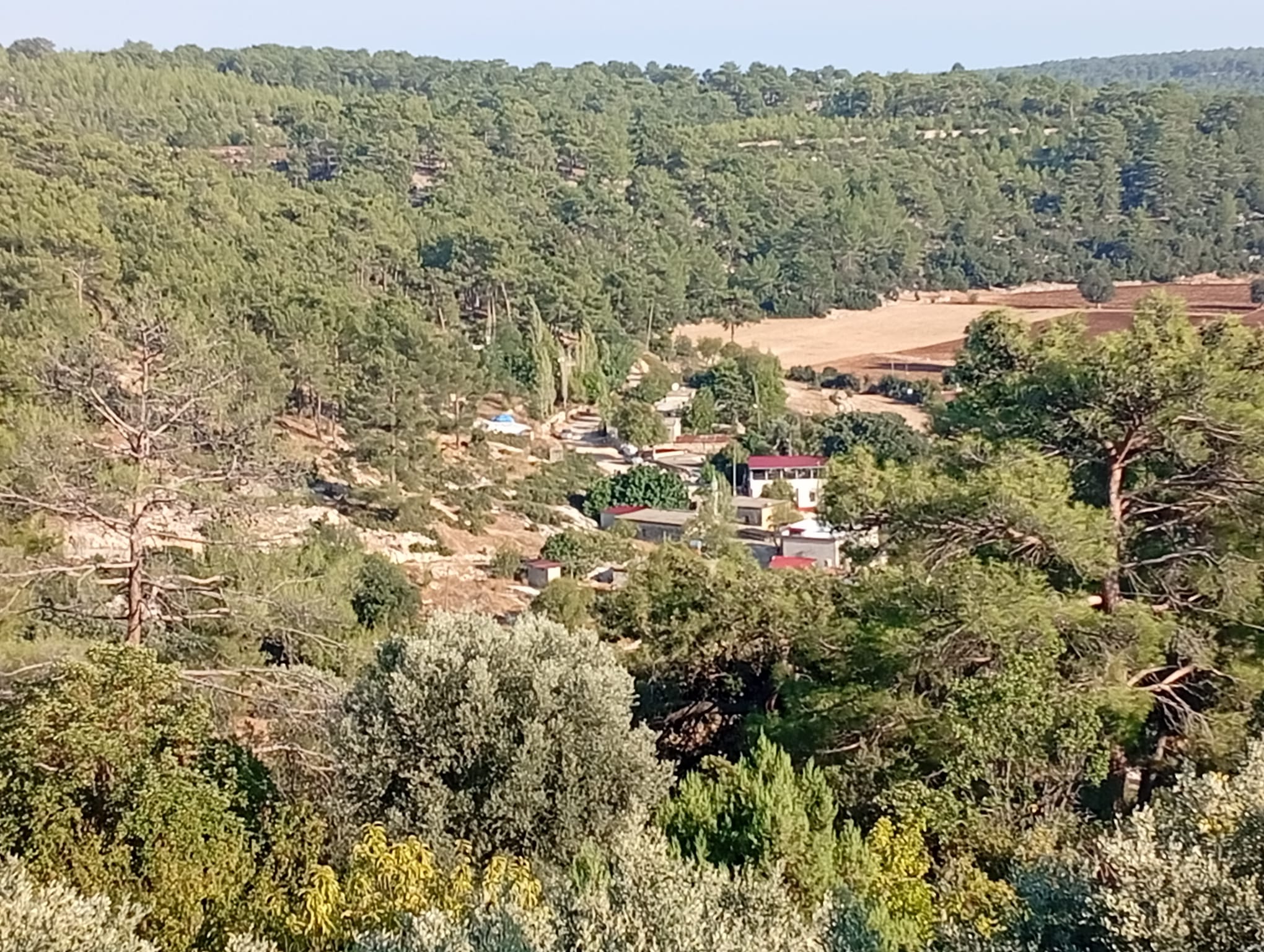 SİLİFKE ÇALTIBOZKIRDA 5 DÖNÜM İÇİNDE  EVİ OLAN BAHÇE